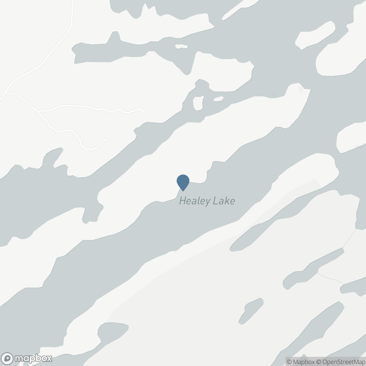 362 HEALEY LAKE WATER, Carling, Ontario P0G 1G0